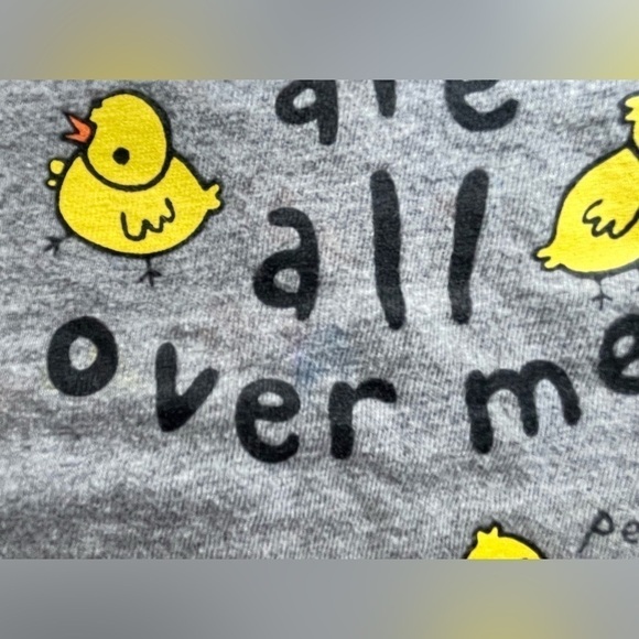 Jumping Beans Gray Chicks Short Sleeve T-shirt Baby Size 24 months - Picture 3 of 4